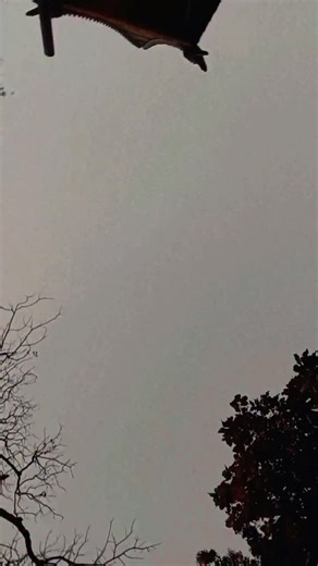 Tapashi Kayal on Instagram: "Tere pyaar mein mai mar Java ❤️ #instagram #highlights #viralreels #mustshare"