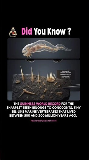 The Scariest Teeth You Can’t Even See 🔬 😱😱😱 #factsdaily #facts #shorts