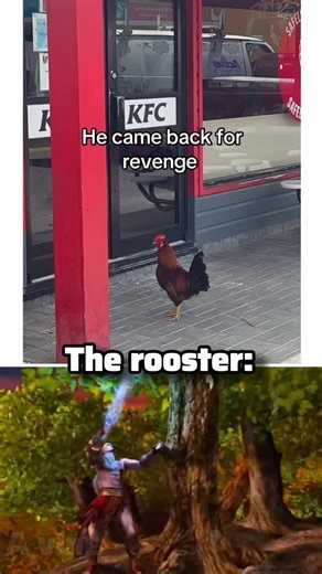 a vine on Instagram: "日本利用压电瓷砖将脚步转化为电能。这些瓷砖捕捉来自你脚步的动能。当你行走时，你的重量和动作会对瓷砖产生压力。瓷砖会轻微弯曲，从而产生机械应力。瓷砖内部的压电材料将这种应力转化为电能。每一步都会产生少量电荷，而数百万步结合在一起就能产生足够的电力来驱动 LED 灯、数字显示屏和传感器。在像涩谷车站这样繁忙的地方，每天大约有 240 万个脚步为这一系统作出贡献。这些电能可以被储存或立即使用，从而减少对传统电力来源的依赖，并支持可持续的城市基础设施。这种方法将日常运动转化为实用的可再生能源 #日本 #知识 #事实 #你知道吗 #推荐 #科技 #创新 #历史 #技术 #实验 #热门"