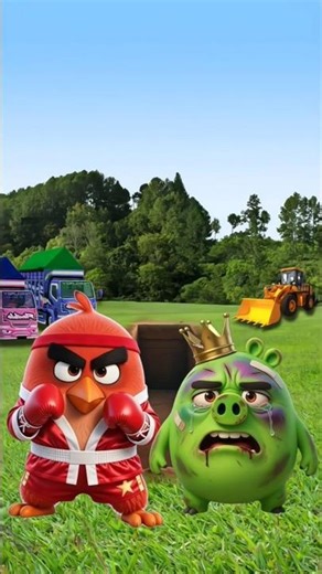 Angry Bird boxing menghajar Babi nakal, orang kaya mati orang miskin mati #shorts