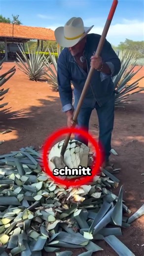 Was sich unter den Blättern verbirgt 🔥