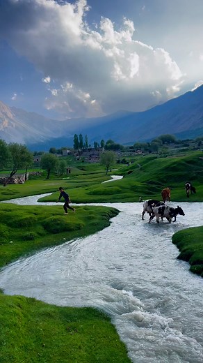 146K views · 5.1K reactions | This & No Stress ❤️‍啕️Special Discount...