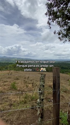 Trabajo en agricultura: cosecha de tomates y agronomía