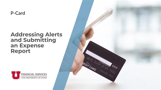 Address Alerts and Submit the Report