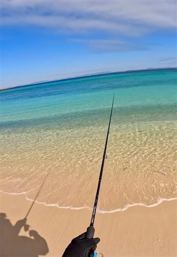 Fishing Rod With Camera Videos