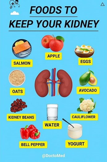 10 Best Foods to Keep Your Kidneys Healthy | Kidney Detox Diet Explained