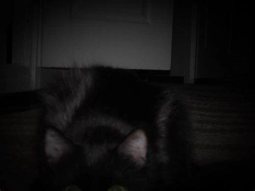 Explore the Glory Playlist: Best CRO Songs