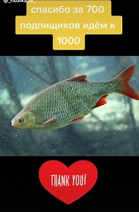 RIBALKA_TV (@_ribalka_tv_)’s videos with оригинальный звук - ……nz……..