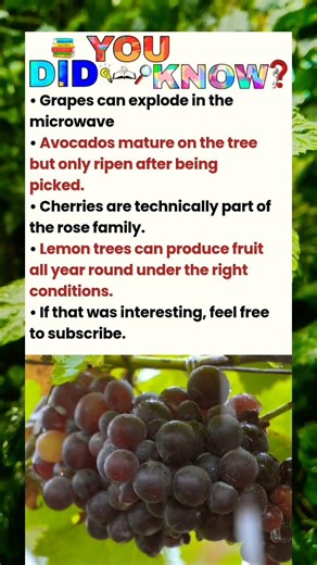 Grapes can explode in microwave...