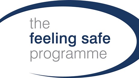 The Feeling Safe Programme