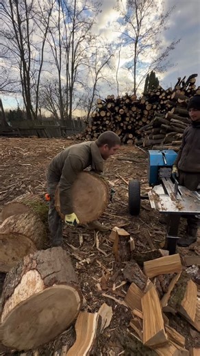 #firewood #woodsplitter #woodsplitter #woodcutter #lumberjack #fyp | Агровуд - паливний склад