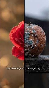 The Philosopher Who Said Your Mind Started as a Blank Slate | John Locke