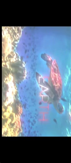 Please rotate Ur camera for better view SOLAR SYSTEM edit