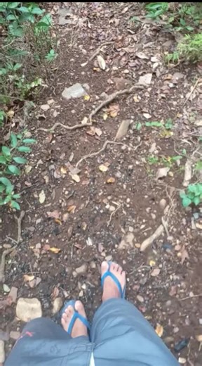 Cachoeira da missão do Sahy