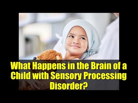 What Happens in the Brain of a Child with Sensory Processing Disorder?
