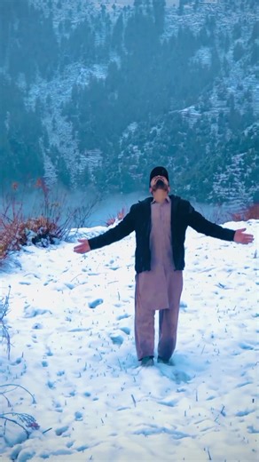 Stunning Snowfall Captured in Nature's Beauty