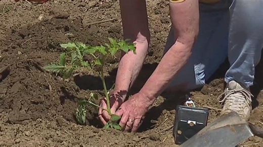 Spring dangers and how to stay safe | Health Smart