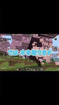 #マイクラ パート3