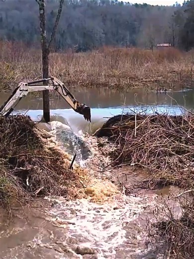 The beast is unleashed — no dam survives! 🚜💥 | The Video Corner