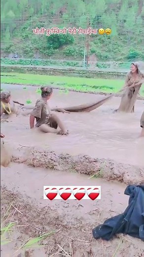 गाउँघरमा रोपाईको रमाइल भिडियो कोको लाई याद आयो गाउँघरको #higthlights #highilts #ghtf