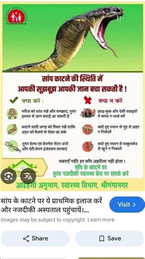 Snakebite: symptoms, prevention and treatment