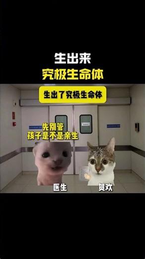 The ultimate life form born #cheems #catmeme #funny #trendy