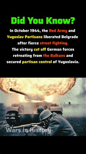 Belgrade Offensive 1944 – The Liberation That Changed the Balkans #ww2