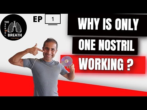 Left Nostril vs Right Nostril Breathing I Why do we Breathe Through One Nostril at a Time [Part 1]