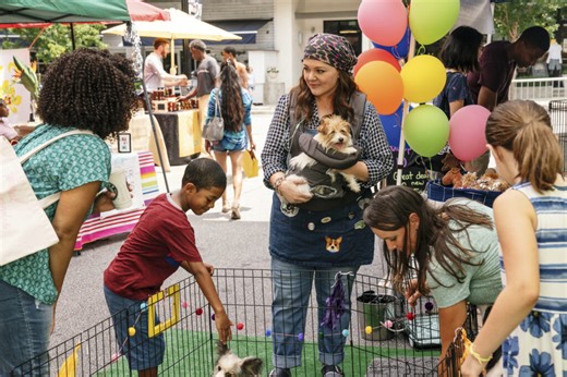 Review: 'Superintelligence' is smart to use Melissa McCarthy in a serious manner