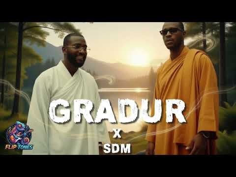 GRADUR feat SDM - Pas Solo (Meditative 432Hz Cover) | Fliptones Music ✨🧘‍♂️