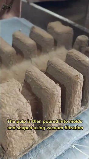 Introduction to the Paper Pulp Molding Process.