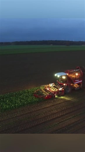 Rübenernte - Grimme Rexor 630, Holmer T3, Claas Xerion 4500, Fendt 927 BB vom LU Meyer, Bösel-3