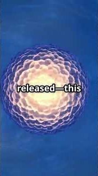 The Amazing Journey of the Female Reproductive Cycle