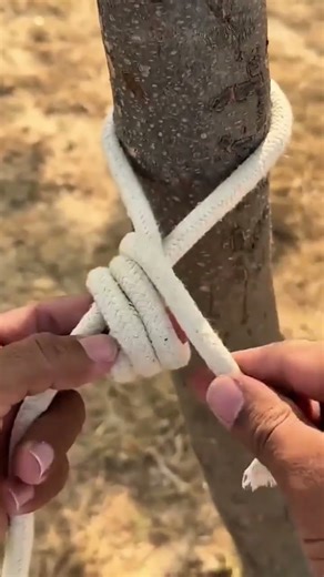 how to tie a rope to a tree trunk so that it is strong