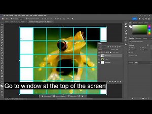 How to use a drawing reference in photoshop