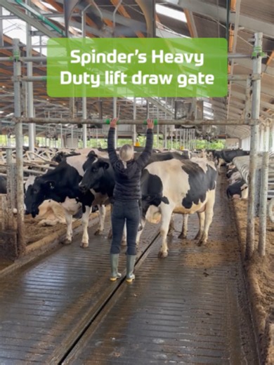Heavy Duty Upward Draw Gate for Dairy Farms — Space-Saving & Fast