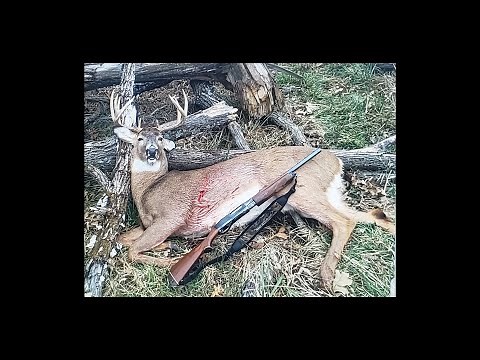 Iowa Shotgun Deer Hunting 2024