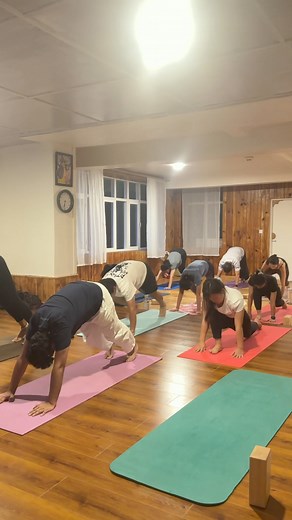 Group yoga practice enhances overall wellbeing by combining physical, mental, and social benefits. The shared experience promotes mindfulness, personal growth, and emotional balance. It helps cultivate discipline and routine, positively impacting other areas of life. Regular practice in a supportive environment contributes to a more balanced lifestyle, benefiting both body and mind. #yogayangchen #yoga #suryanamaskara #yogateacher #hathayoga #groupyoga | Yoga Yangchen