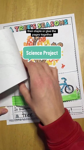 Your grade 1 students will have so much fun making this flipbook to sh...