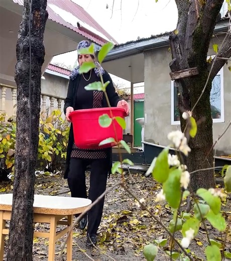 Baked 5 kg Giant Turkey in the Oven😋 | Wilderness Show
