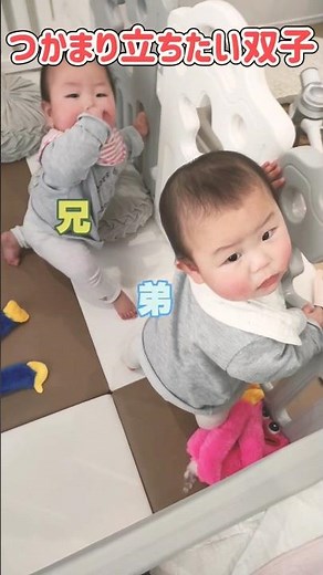 双子のつかまり立ちたい時期#shorts