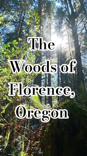 Florence Oregon, is gorgeous! #hike #forest #beautiful #woods #vanlife #trucklife