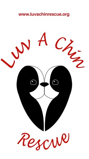 🐾 The Forever Foster Project: The 2026 "Exposé" 🐾 Every year, we do the standard thing: we post cute photos, share some sweet bios, and tell you how much we love our FOREVER FOSTER residents. But let’s be honest—the dogs think that’s boring. This year, we’re doing things a little differently. We’ve gone "Full Tech" with the help of AI imagery and a healthy dose of investigative journalism. We sat down for some hard-hitting interviews with the foster parents, but then we went straight to the so