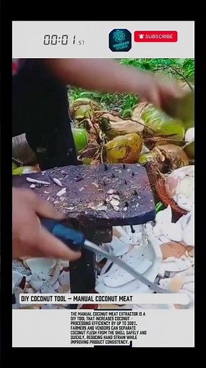 DIY Coconut Tool – Manual Coconut Meat Extractor Machine