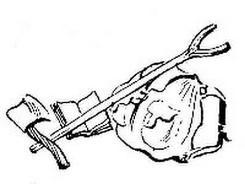 ¿Qué es el Roverismo?