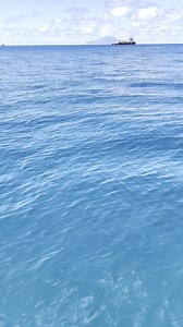 When the water below is as gorgeous as the view beyond. 🥰 📍 St. Eustatius 📽 Tracey Minkin | Coastal Living