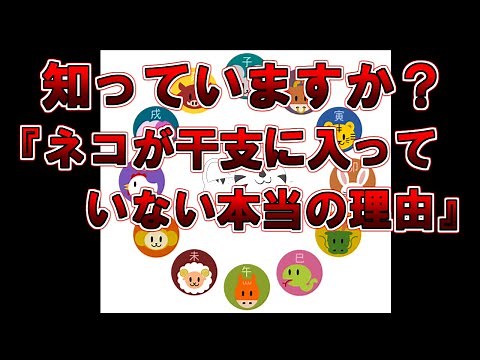 【ゆっくり解説】なぜネコが干支にいないか気になったことありませんか？その謎を解説します『ネコが干支に入っていない本当の理由』