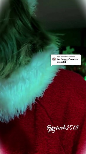 The “heyyy” sent me into orbit #grinch #thegrinch #orlando #universalstudios #merrychristmas #christmas #noel #grinchmas #viralvideo #fpy #ypfッ @Grinchmasss