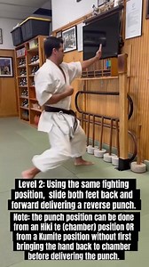 239K views · 6.7K reactions | Basic ways of training reverse punch(Gyaku tsuki) on the Makiwara #karate #MartialArts #gojuryu #makiwara #taekwondo #mixedmartialarts | Okinawa Goju Ryu Karate Do International | Facebook