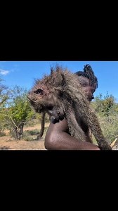 40K views · 498 reactions | Hadzabe tribe Hunting Successful Big Baboon#africa#culture | Hadzabe tribe culture | Facebook